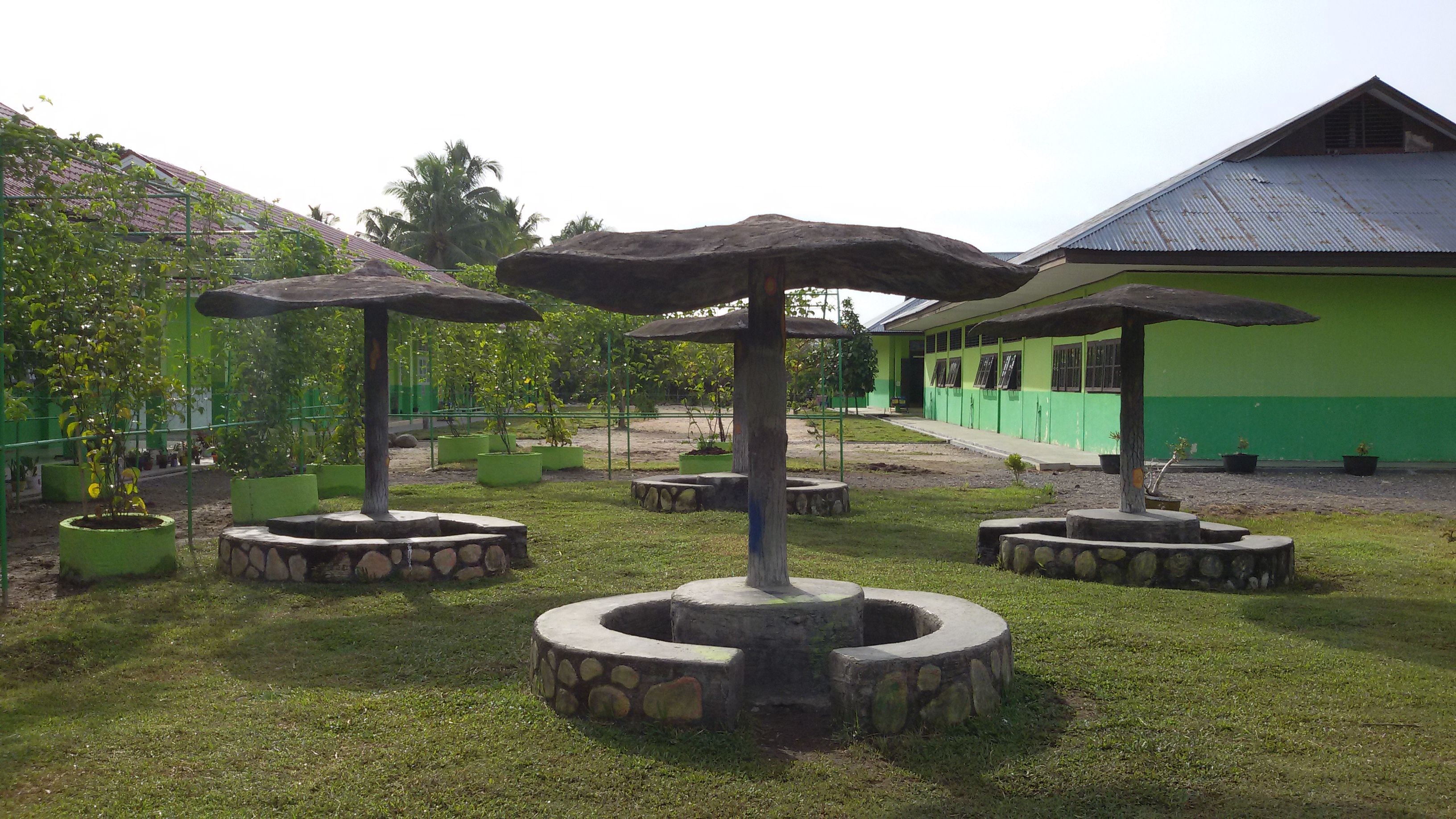 Taman-Belakang.jpg